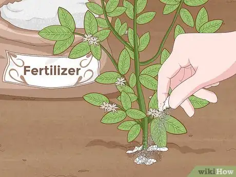 Image titled Improve Soil Step 5