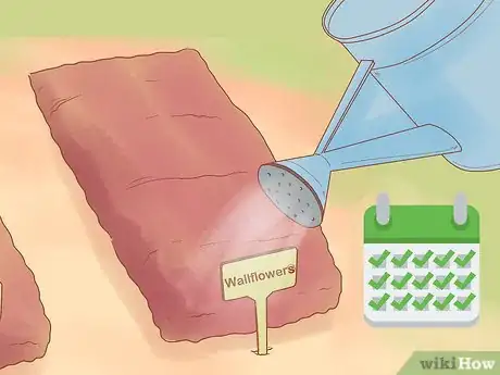 Image titled Grow Biennials Successfully Step 8