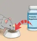 Treat Diarrhea in Rats