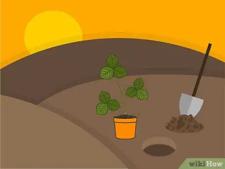 Image titled Grow Strawberries Step 08