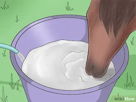 Image titled Prevent a Horse From Colicking Step 9