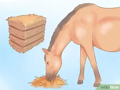 Image titled Keep a Horse from Cribbing Step 1