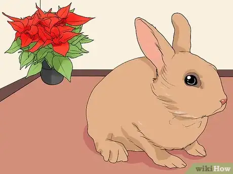 Image titled Keep Pet Rabbits Safe Step 7