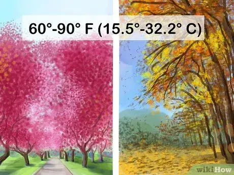 Image titled Apply Weed and Feed Step 1