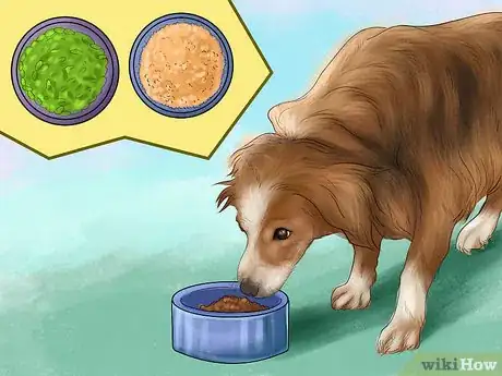Image titled Know if Your Senior Dog Should Go on a Diet Step 9