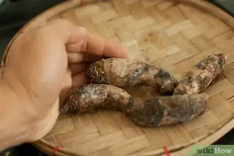 Image titled Grow Elephant Ear Plants Step 15