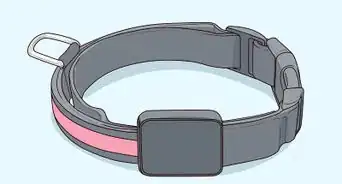 Include Your Cat in a Disaster Preparedness Plan