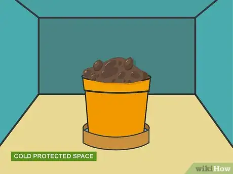 Image titled Plant Bulbs in Pots Step 10