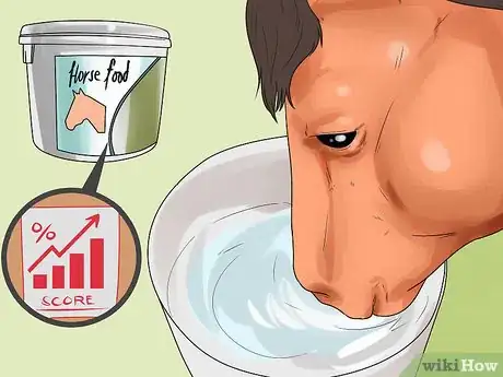 Image titled Do Condition Scoring for Horse Yearlings Step 8