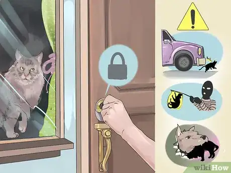 Image titled Take Care of Your Long Haired Maine Coon Step 5