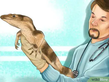 Image titled Diagnose Vitamin a Deficiency in Reptiles Step 12