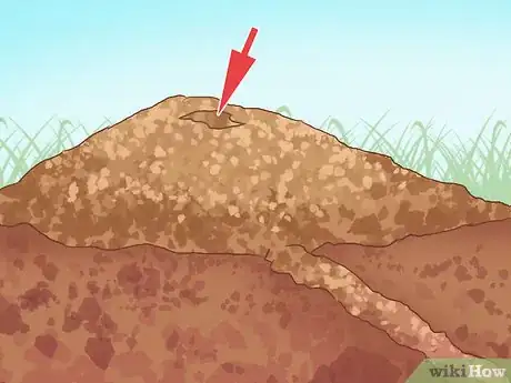 Image titled Catch Moles Step 17