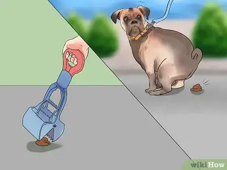Image titled Train Puggles Step 9