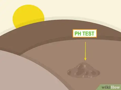 Image titled Plant Fescue Step 2