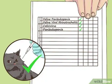 Image titled Make Sure Your Cat's Vaccinations Are Up to Date Step 9