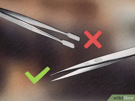 Image titled Remove a Tick from a Horse Step 1