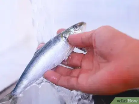 Image titled Cook Kerala Style Fried Sardines (Chala Varutathu) Step 4