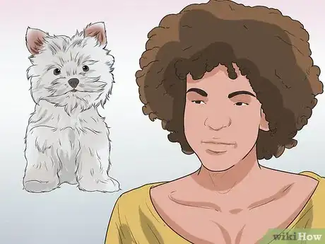 Image titled Diagnose Portosystemic Shunts in Yorkshire Terriers Step 1