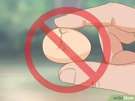 Image titled Breed Silver Quail Step 10