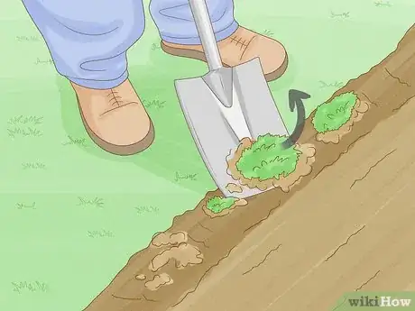 Image titled Grow Sweetgrass Step 3