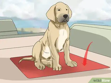 Image titled Go Boating With Your Dog Step 14