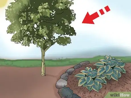 Image titled Plant a Low Water Garden Step 11