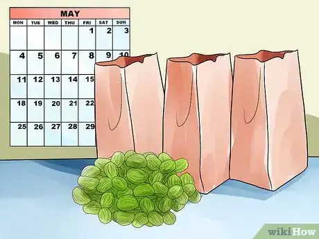 Image titled Grow Nasturtiums Step 12