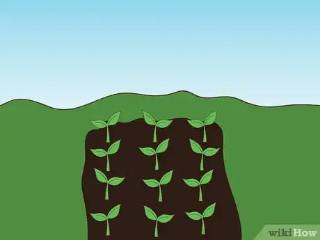 Image titled Harden Off Seedlings Step 9