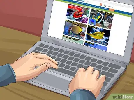 Image titled Start a Saltwater Aquarium Step 28