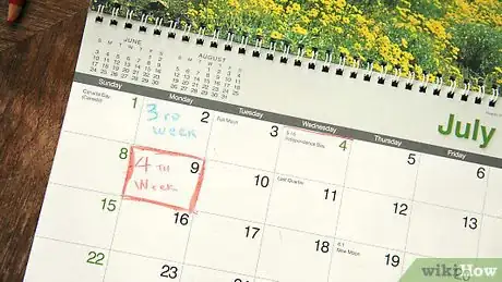 Image titled Enter a Guinness Book of Records Entry Step 6