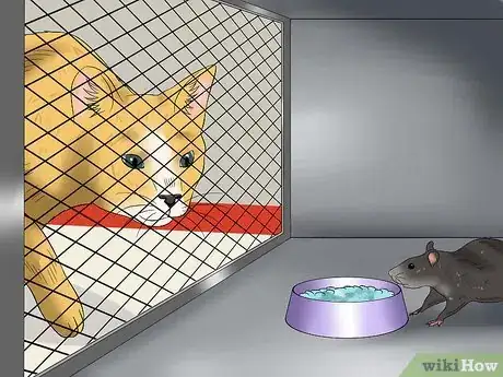 Image titled Protect Your Cat from Household Hazards Step 11