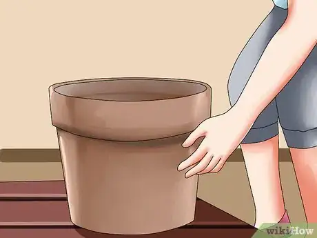 Image titled Grow Clematis in Pots Step 2