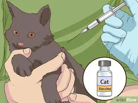 Image titled Make Sure Your Cat's Vaccinations Are Up to Date Step 8