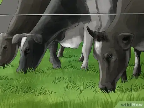 Image titled Manage Pastures Using Rotational or Management Intensive Grazing Step 19