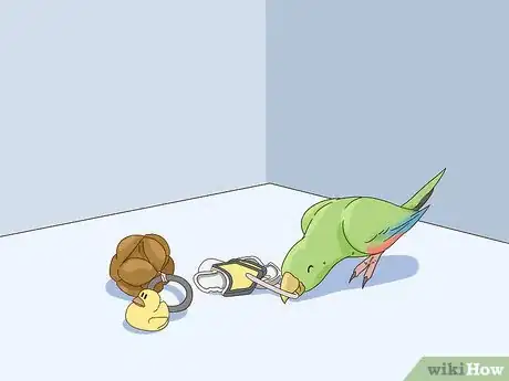 Image titled Set Up an Eclectus Habitat Step 3