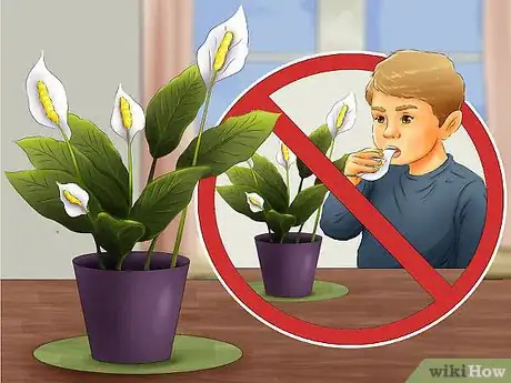 Image titled Select Blooming Houseplants Step 5