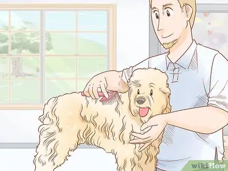 Image titled Groom a Wheaten Terrier Step 2