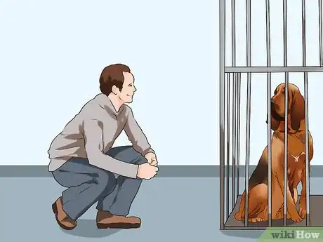 Image titled Choose a Laid‐Back Dog Step 12