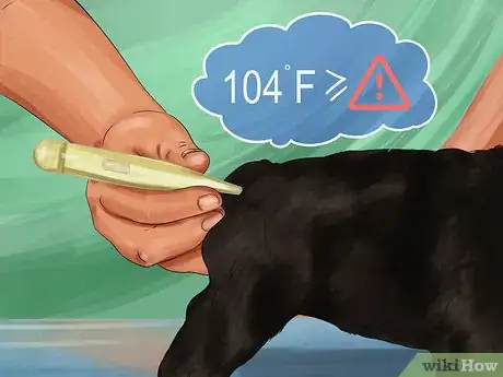 Image titled Treat Fever in Dogs Step 9