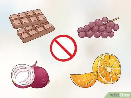 Image titled Care for Boxers Step 5