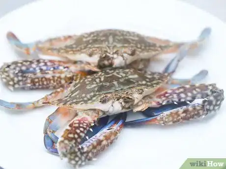 Image titled Boil Crab Step 1