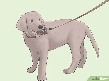 Image titled Raise a Balanced Puppy Step 3