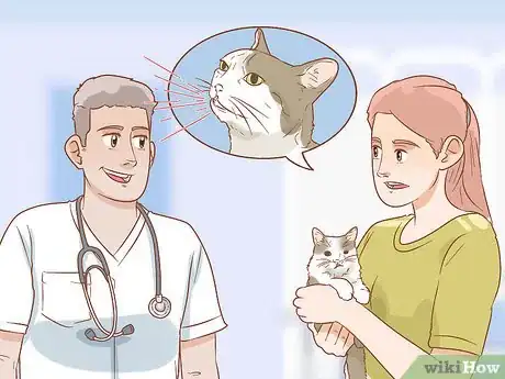 Image titled Treat Cleft Palate in Cats Step 9