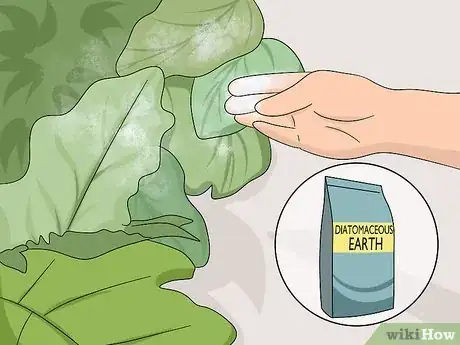 Image titled Treat Your Yard for Fleas Step 5