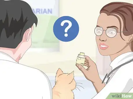 Image titled Manage Wool Sucking in Cats Step 11