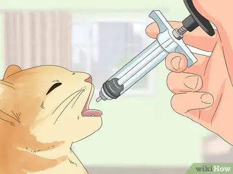 Image titled Diagnose and Treat Zinc Poisoning in Cats Step 8