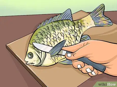 Image titled Clean Sunfish Step 4