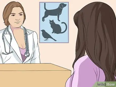 Image titled Fly Internationally With a Dog Step 7