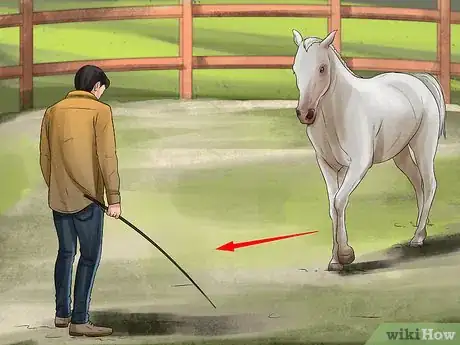 Image titled Round Pen a Horse Step 11