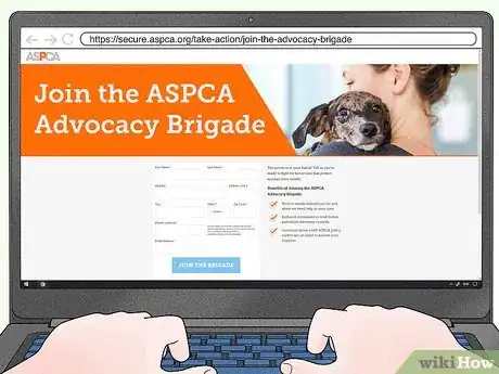 Image titled Help Homeless Animals Step 21